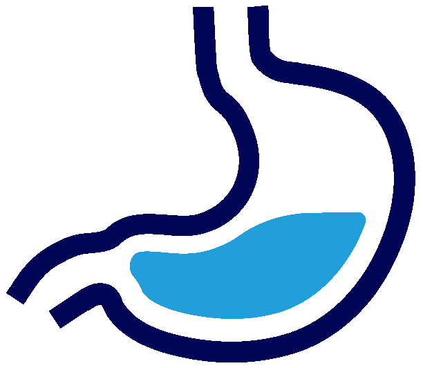 icon image of stomach