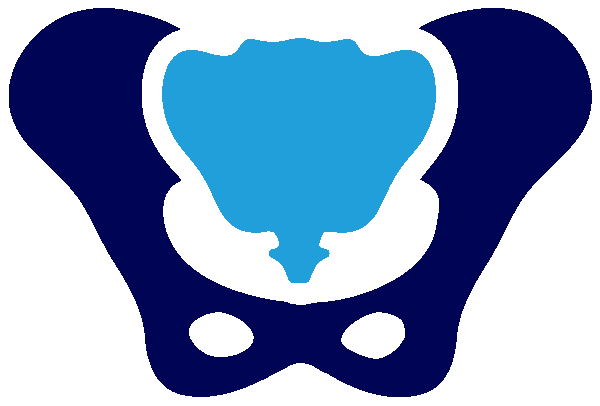 icon image of pelvis