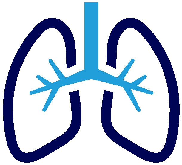 icon image of lungs